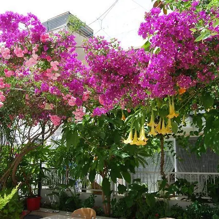 Panzió Kale Bodrum