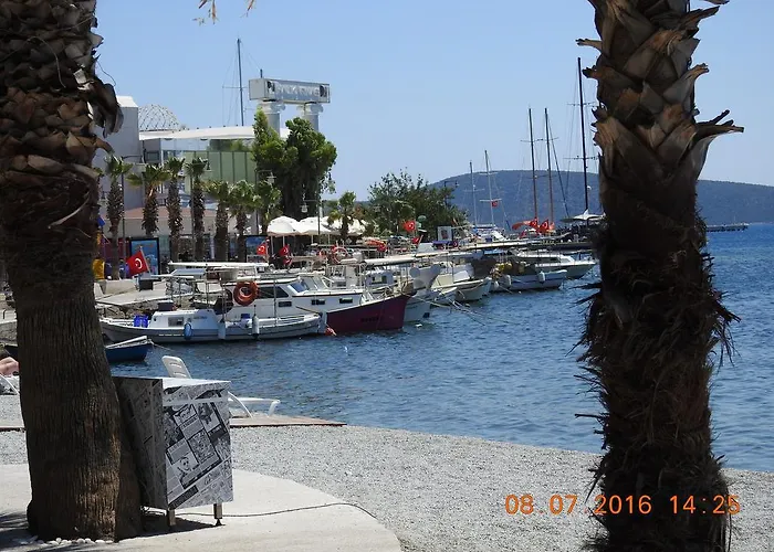 Alojamento de Acomodação e Pequeno-almoço Kale 2*