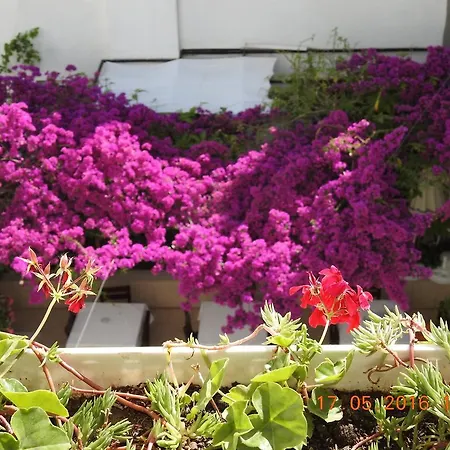 Kale Αλικαρνασσός