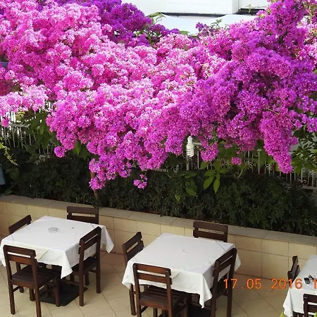 Kale Bed & Breakfast Bodrum