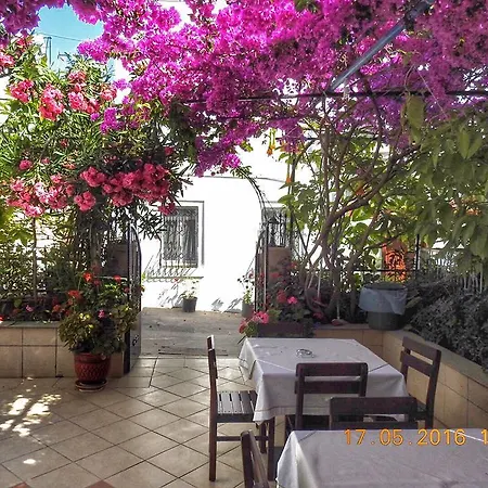 Bed & Breakfast Kale