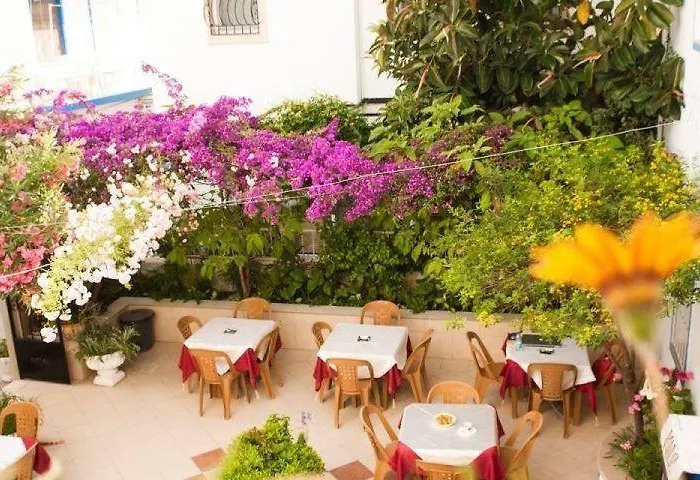 Bed and Breakfast Kale