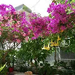 Panzió Kale Bodrum