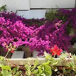 Kale Bodrum