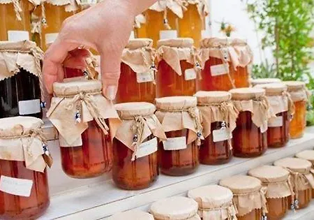 ベッド・アンド・ブレックファスト Kale ボドルム