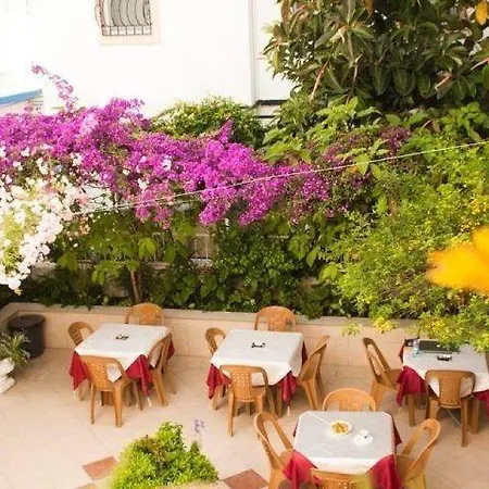 ベッド・アンド・ブレックファスト Kale