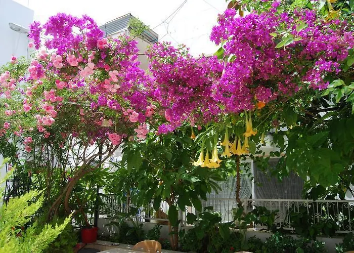 Bed and breakfast Kale Bodrum